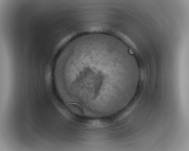 X0000115420588200911101633