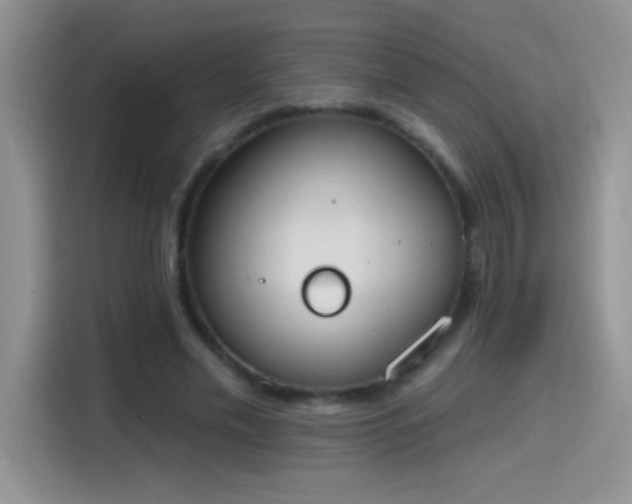 X0000115420589200911101633