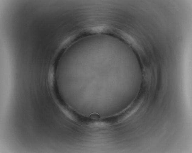 X0000115420590200911101633