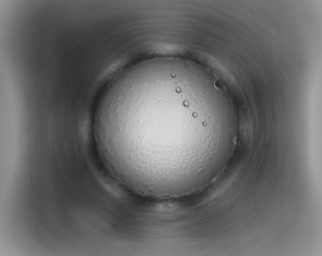 X0000115420591200911101633