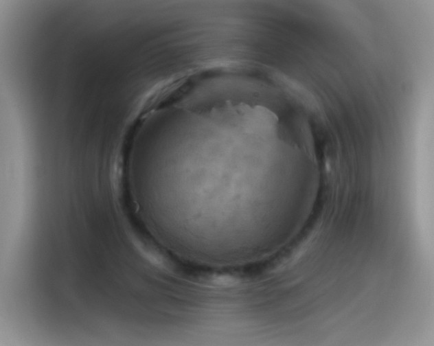 X0000115420592200911101633