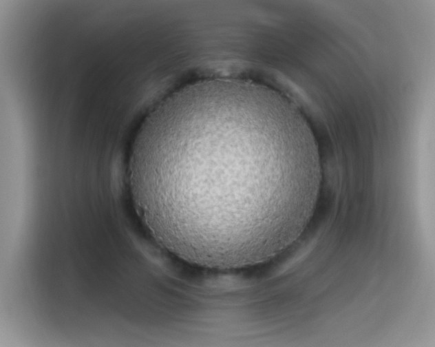 X0000115420594200911101633