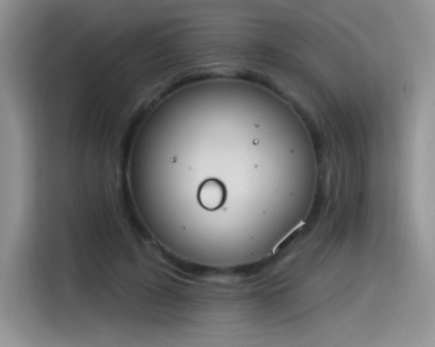 X0000115420595200911101633