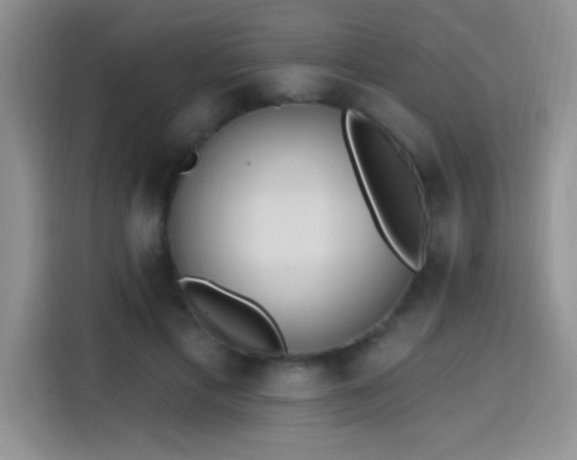 X0000115420597200911101633