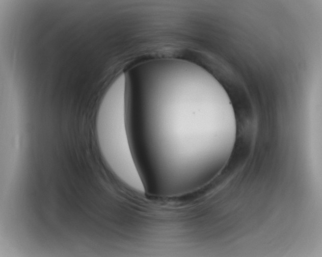 X0000115420599200911101633