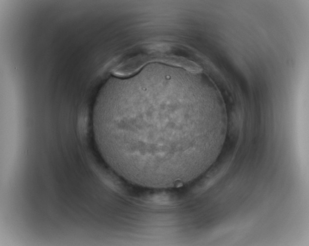 X0000115420600200911101633