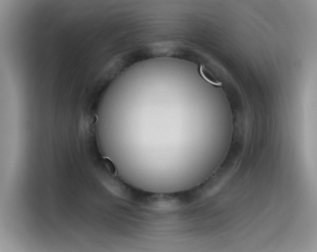 X0000115420601200911101633