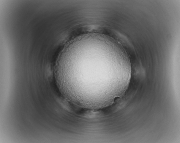 X0000115420607200911101633