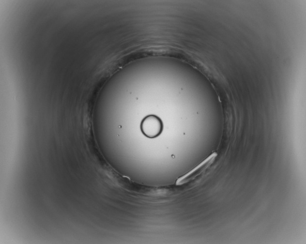 X0000115420609200911101633