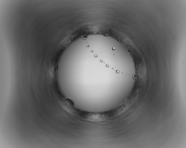 X0000115420611200911101633