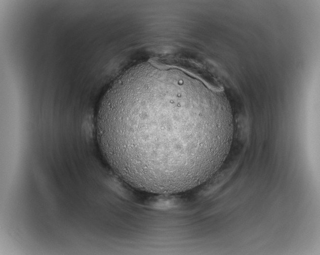 X0000115420612200911101633