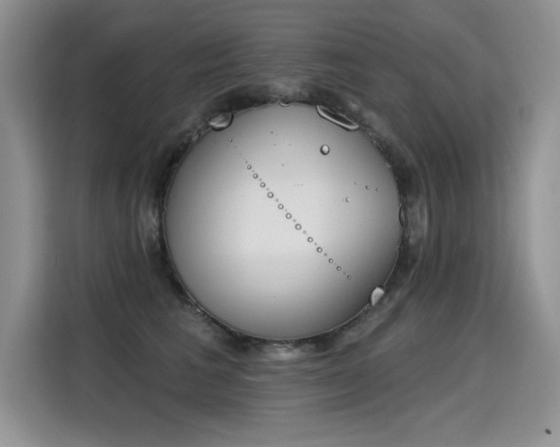 X0000115420613200911101633