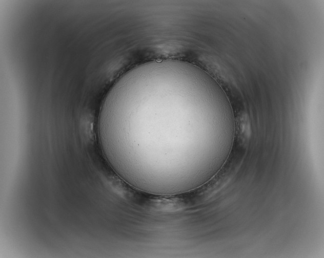 X0000115420615200911101633