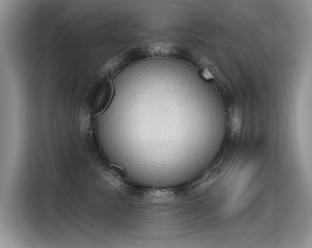 X0000115420619200911101633