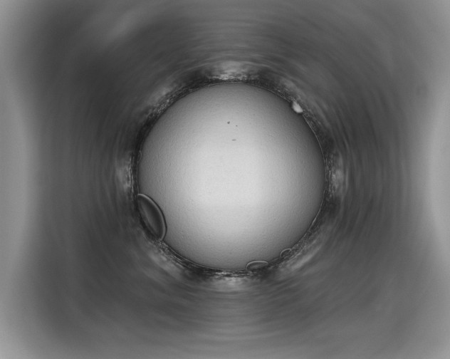 X0000115420620200911101633