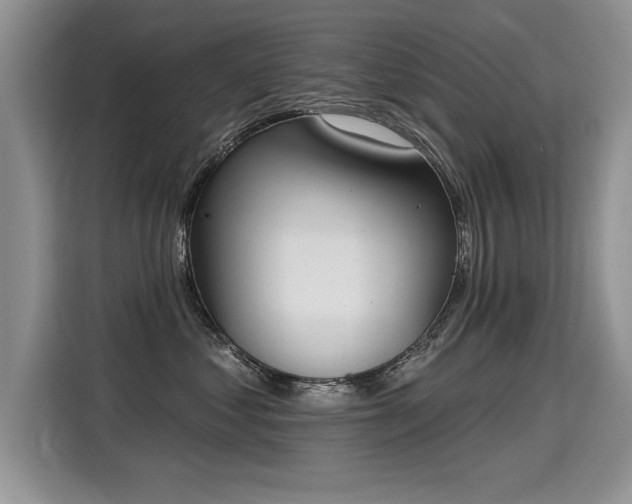 X0000115420621200911101633