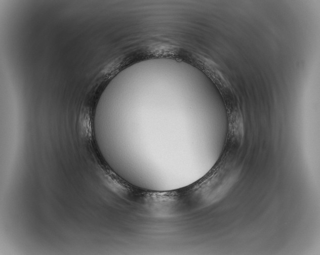 X0000115420622200911101633