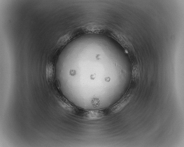 X0000115420623200911101633