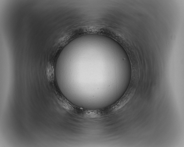 X0000115420624200911101633