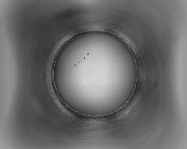 X0000115420625200911101632