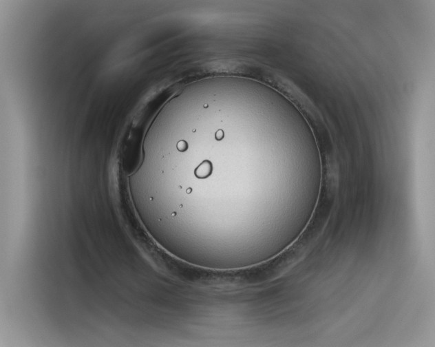 X0000115420626200911101632