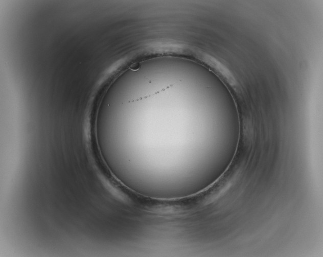 X0000115420629200911101632