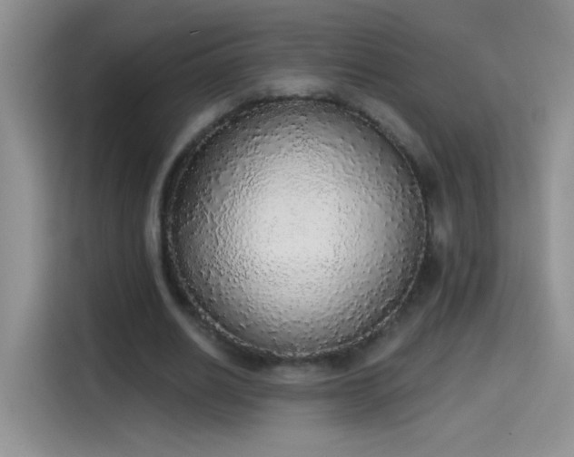 X0000115420630200911101632