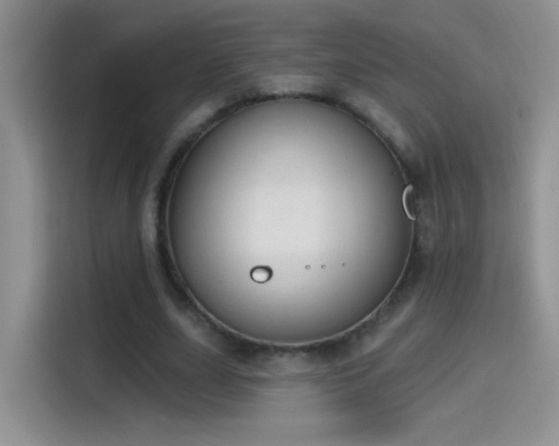 X0000115420631200911101632