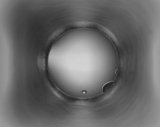 X0000115420633200911101632