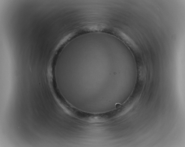 X0000115420634200911101632