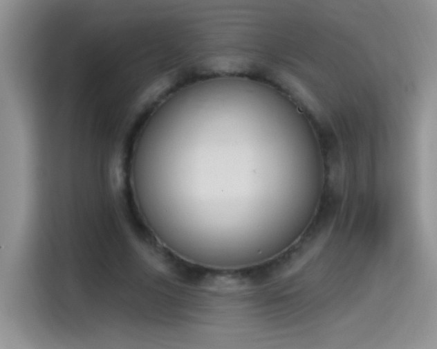X0000115420635200911101632