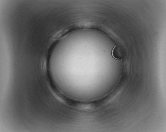 X0000115420638200911101632