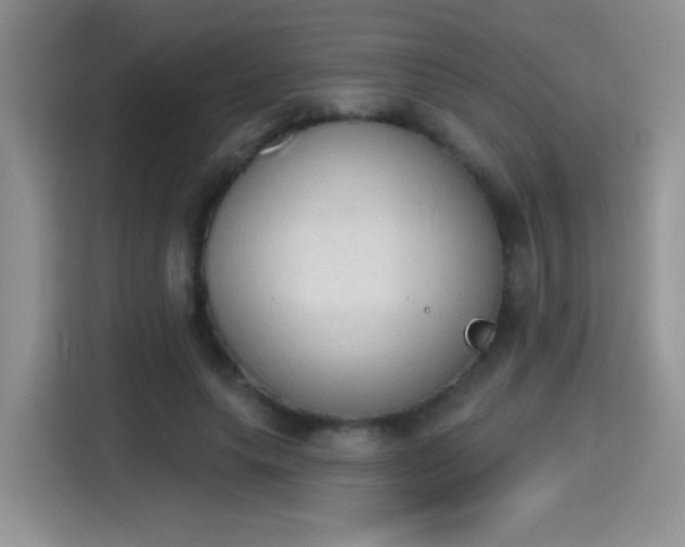 X0000115420639200911101632