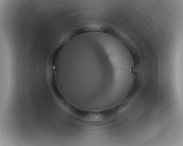 X0000115420642200911101632