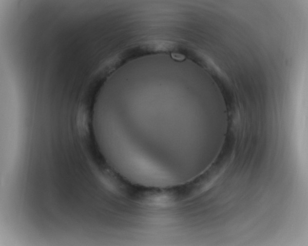 X0000115420643200911101632