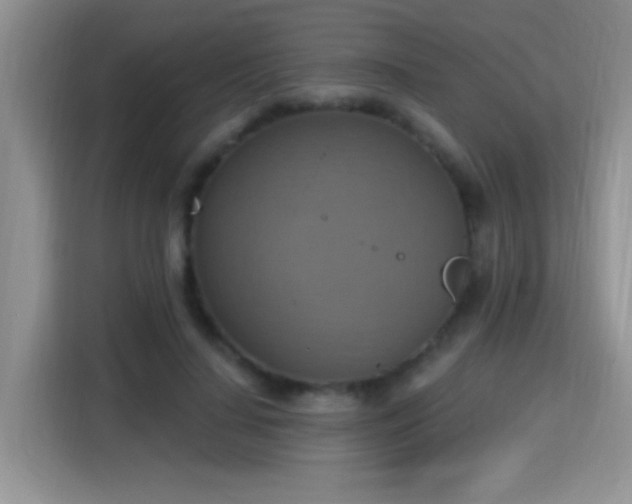 X0000115420644200911101632