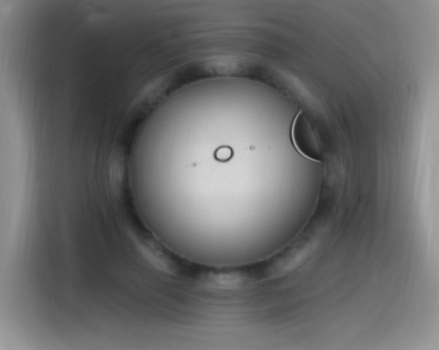 X0000115420645200911101632