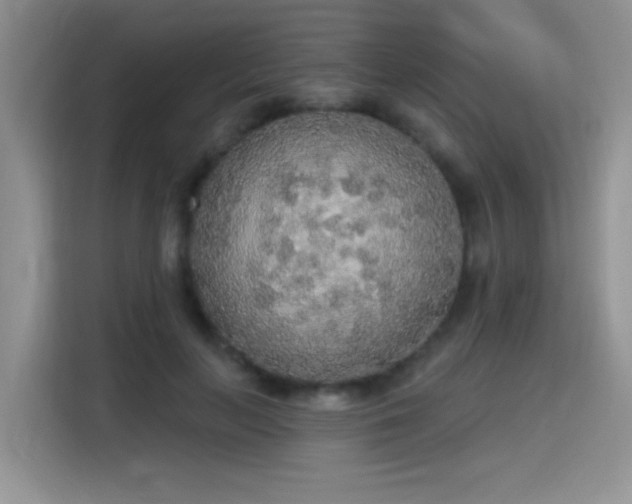X0000115420647200911101632