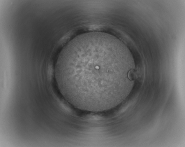 X0000115420648200911101632