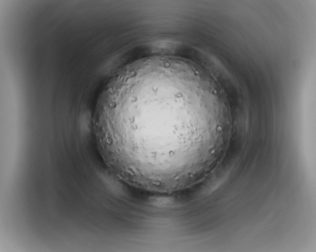 X0000115420649200911101632