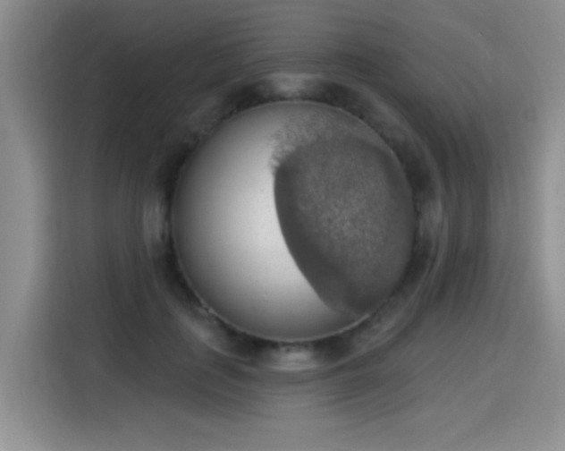 X0000115420651200911101632