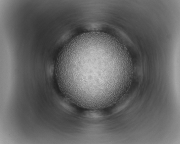 X0000115420652200911101632