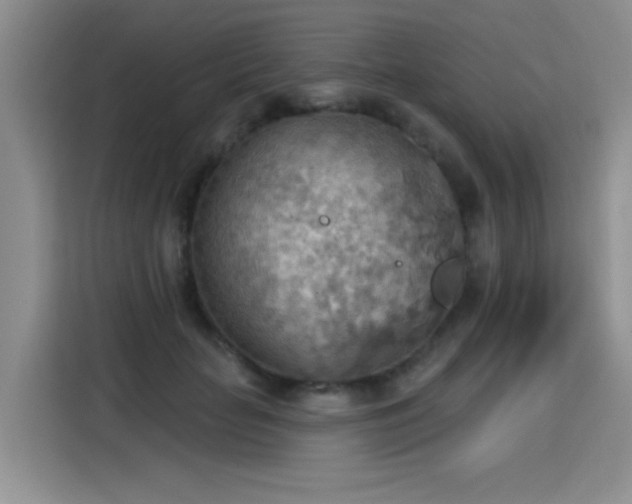 X0000115420653200911101632