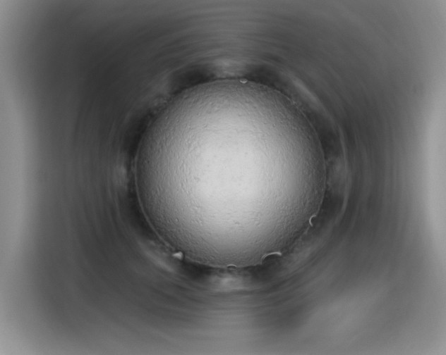 X0000115420655200911101632