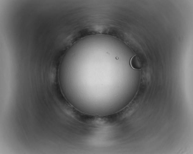X0000115420656200911101632