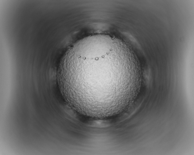 X0000115420657200911101632