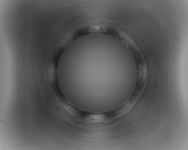 X0000115420659200911101632