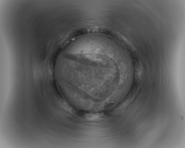 X0000115420661200911101632