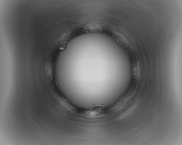 X0000115420662200911101632