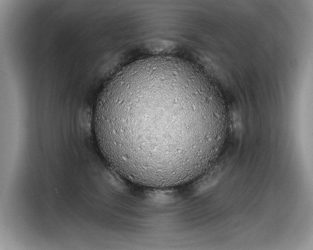 X0000115420664200911101632